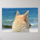 Suche nach hunde poster Tier