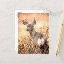 Suche nach hirsche postkarten Herbst