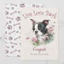 Suche nach boston terrier karten Hundevater