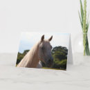 Suche nach stallion karten Rasse