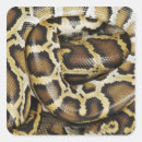 Suche nach python aufkleber Tiere