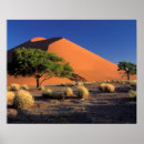 Suche nach sossusvlei poster Sand