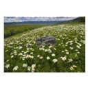 Suche nach lebensraum poster See