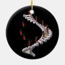 Suche nach darwin ornamente Evolution