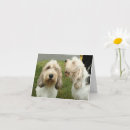 Suche nach griffon karten Hundefreund