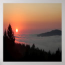 Suche nach rosa baum poster Fotografie