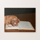 Suche nach pitbull puzzle Pillbulle