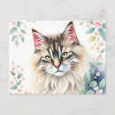 Suche nach waldkatze Aquarell