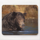 Suche nach braunbär mousepads Wildtiere