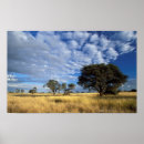 Suche nach kalahari poster Horizontal