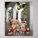 Suche nach mexikanischer hund poster Lustig