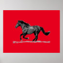 Suche nach reiten sie an poster Pferd