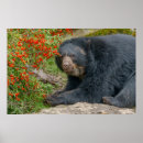 Suche nach pelze poster Wildtiere