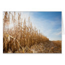 Suche nach geerntet postkarten Blau