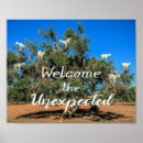 Suche nach essaouira poster Reise