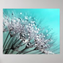 Suche nach cyan blau poster Wasser