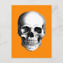 Suche nach menschlicher schädel postkarten Halloween