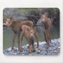 Suche nach alaska mousepads Elche