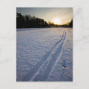Suche nach spuren postkarten Schnee