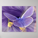 Suche nach freiheit poster Digital