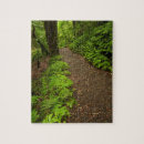 Suche nach waldweg puzzle Pfad