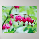 Suche nach blutendes herz poster Blutende herzen