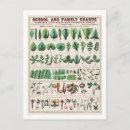 Suche nach botanik blatt postkarten Botanisch