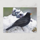 Suche nach schneeball postkarten Winter