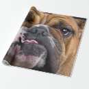 Suche nach englisch geschenkpapier Tiere