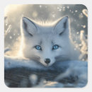 Suche nach blaues auge aufkleber Winter