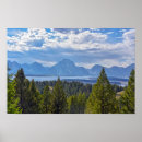 Suche nach nadelbaum poster See