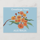 Suche nach australisch postkarten Aussie