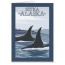 Suche nach orca postkarten Original