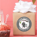 Suche nach opossums aufkleber Lustig