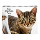 Suche nach humor kalender Katze