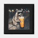Suche nach lustigen waschbär magnete Tier meme