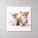 Suche nach corgi leinwandbilder Pembrauner weißer korgi