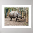 Suche nach rhino poster Tiere