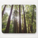 Suche nach mammutbaum mousepads Kalifornien