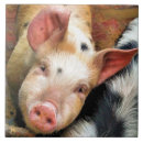 Suche nach lustiges schwein fliesen Niedlich