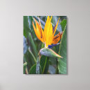 Suche nach paradies poster leinwandbilder Natur