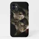 Suche nach katze fall iphone iphone hüllen Tiere