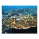 Suche nach palau poster Landschaftlich