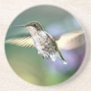 Suche nach kolibris untersetzer Vögel