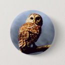 Suche nach eulen buttons Tier