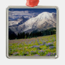 Suche nach lupinen ornamente Landschaft