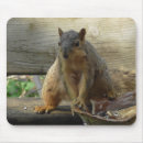 Suche nach lustiges eichhörnchen mousepads Süß