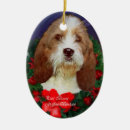 Suche nach basset ornamente Weihnachten