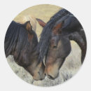 Suche nach wildes pferd aufkleber Pferde