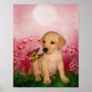 Suche nach labrador hunde poster Für sie